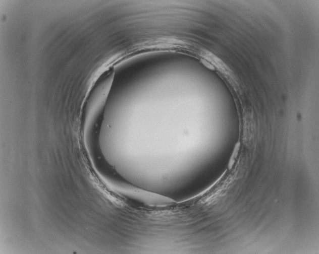 X0000067910850200604171337