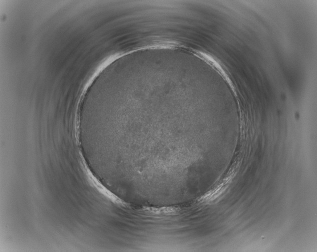 X0000067910851200604171337