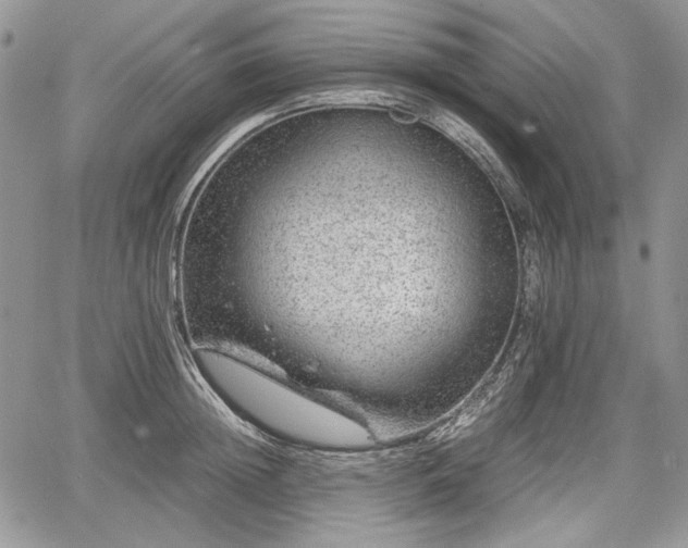 X0000067910852200604171337