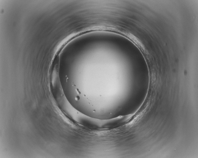 X0000067910854200604171337