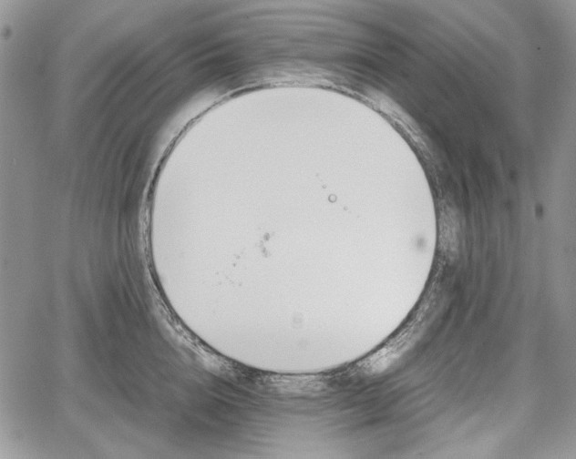 X0000067910856200604171337