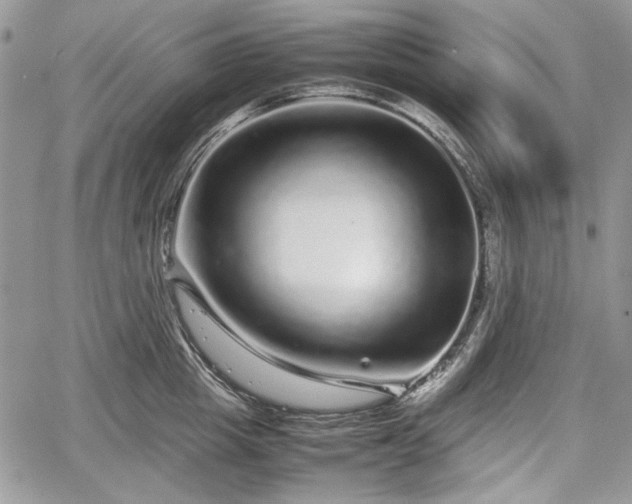 X0000067910857200604171337