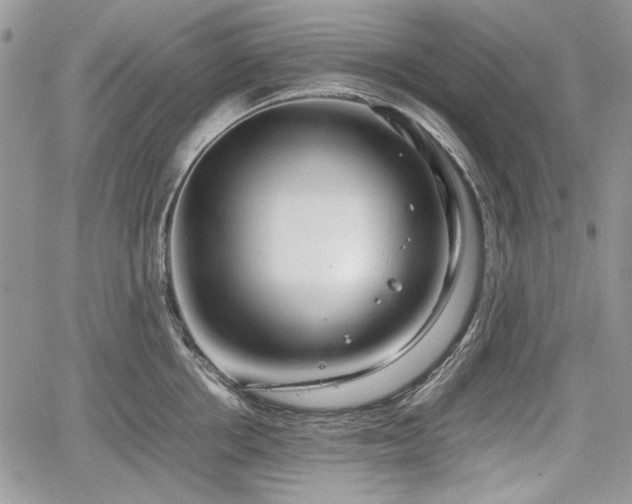 X0000067910858200604171337