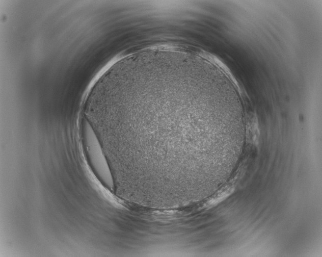 X0000067910859200604171337