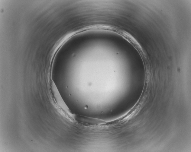 X0000067910860200604171337