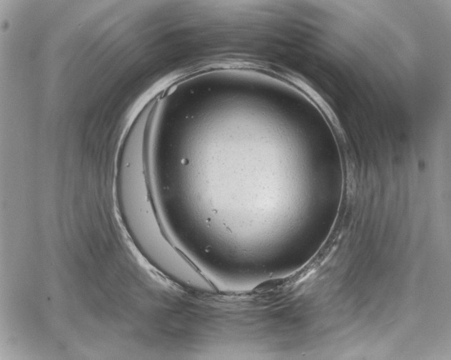 X0000067910861200604171337