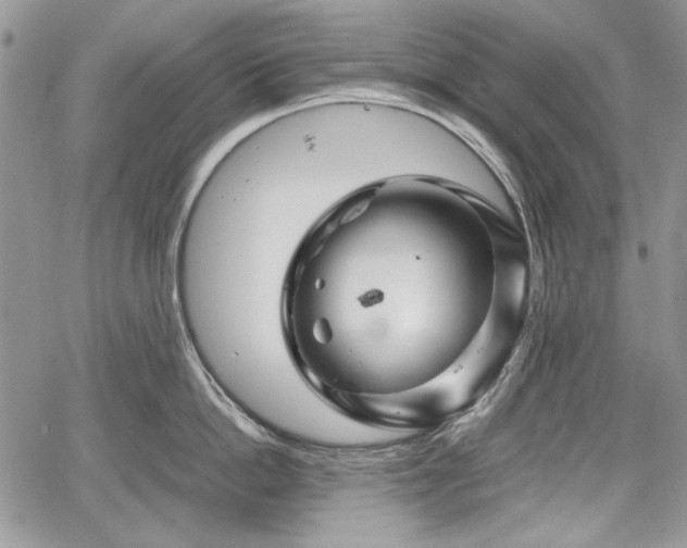 X0000067910862200604171337