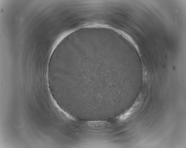 X0000067910863200604171337