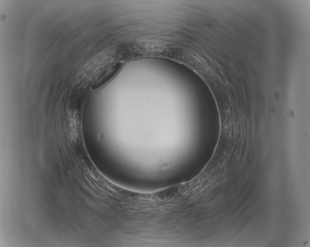 X0000067910866200604171336