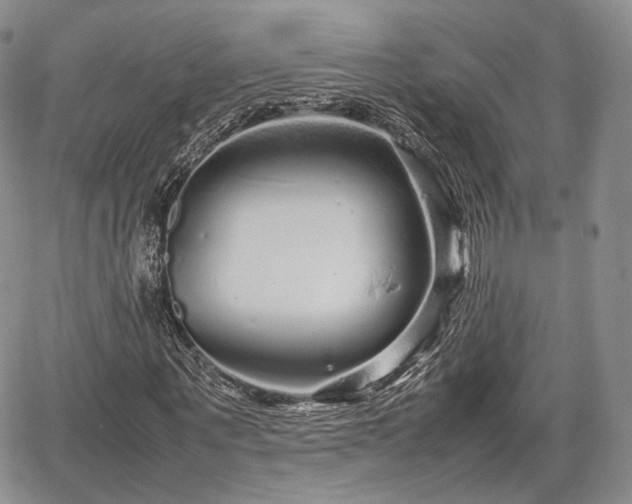 X0000067910867200604171336