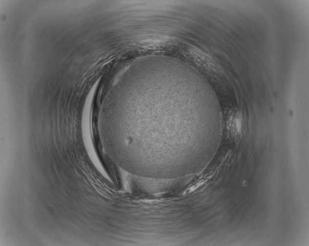 X0000067910868200604171336