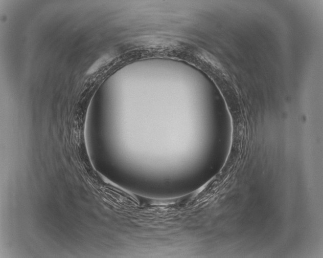 X0000067910869200604171336