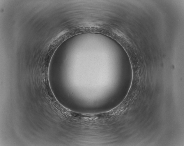 X0000067910870200604171336