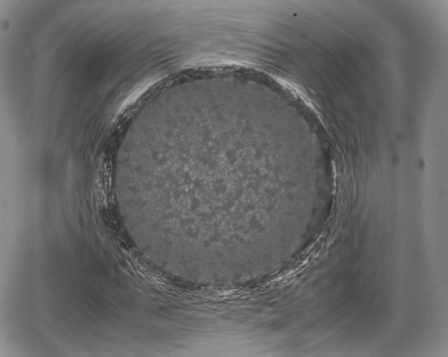 X0000067910871200604171336