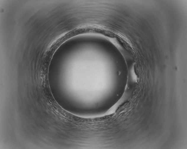 X0000067910872200604171336