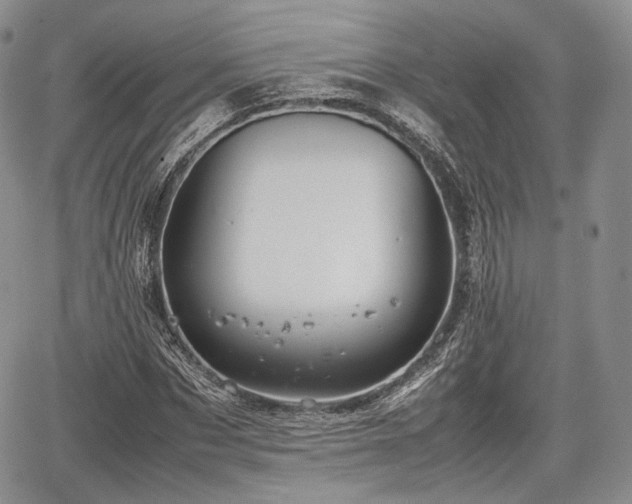 X0000067910873200604171336