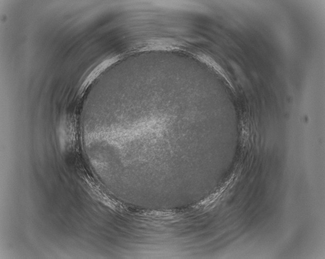 X0000067910874200604171336