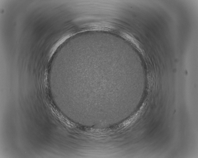 X0000067910875200604171336