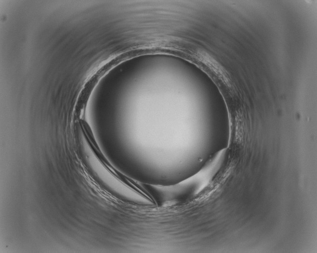 X0000067910876200604171336