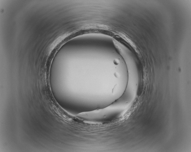 X0000067910877200604171336