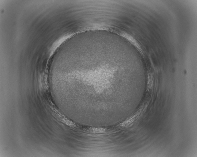 X0000067910878200604171336