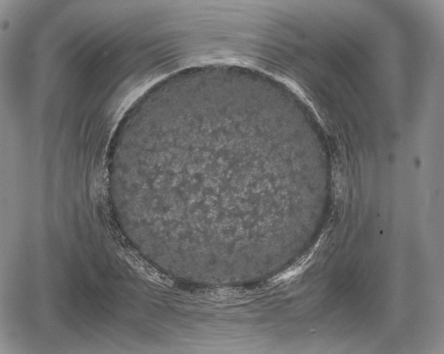 X0000067910879200604171336