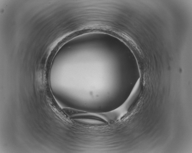 X0000067910880200604171336