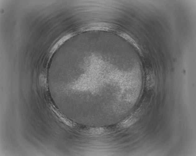 X0000067910882200604171336