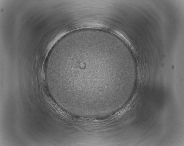 X0000067910883200604171336