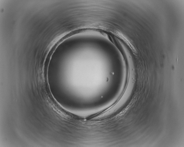 X0000067910884200604171336