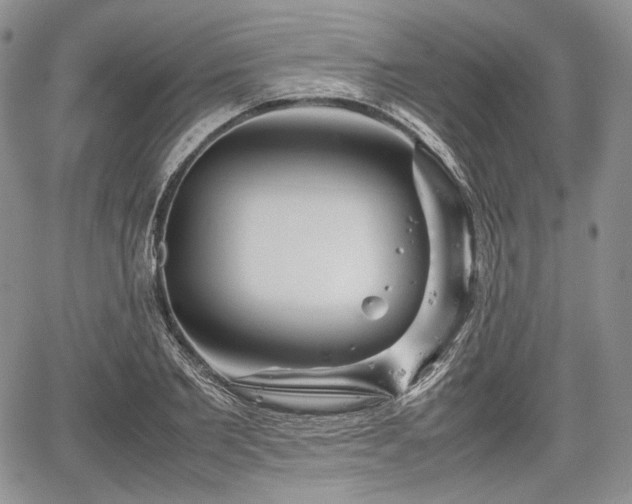 X0000067910885200604171336