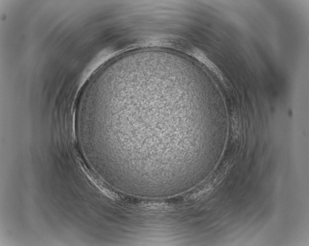 X0000067910886200604171336