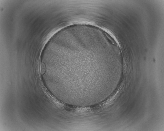 X0000067910887200604171336