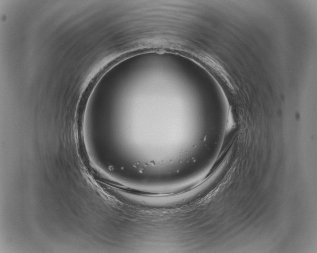 X0000067910888200604171336