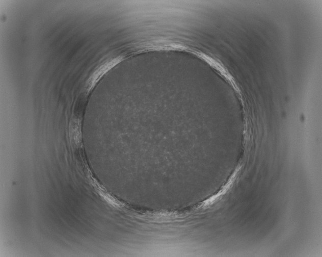 X0000067910889200604171336