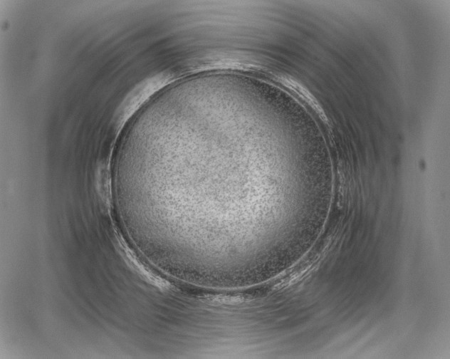 X0000067910890200604171336