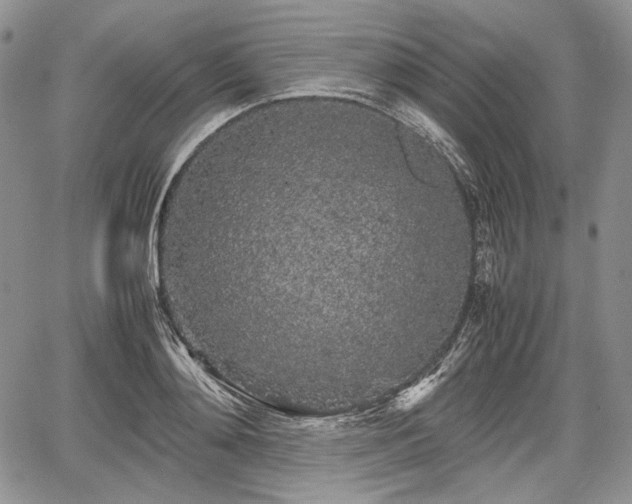 X0000067910892200604171336