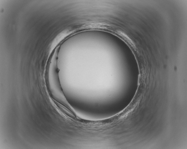 X0000067910893200604171336