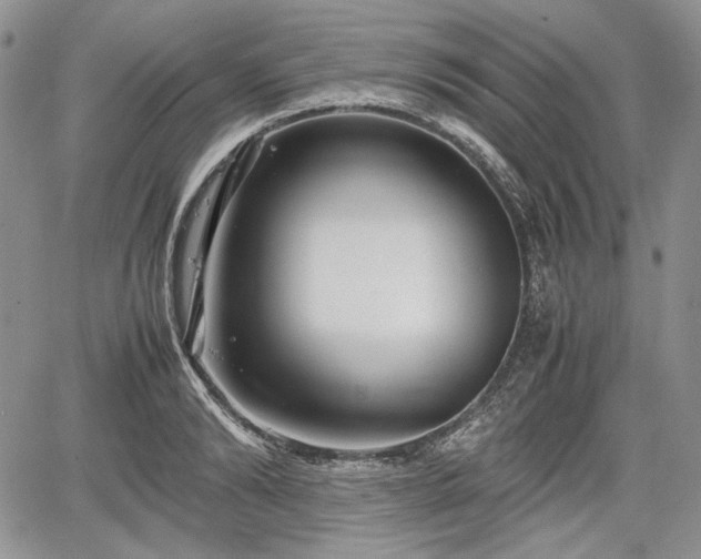 X0000067910894200604171336