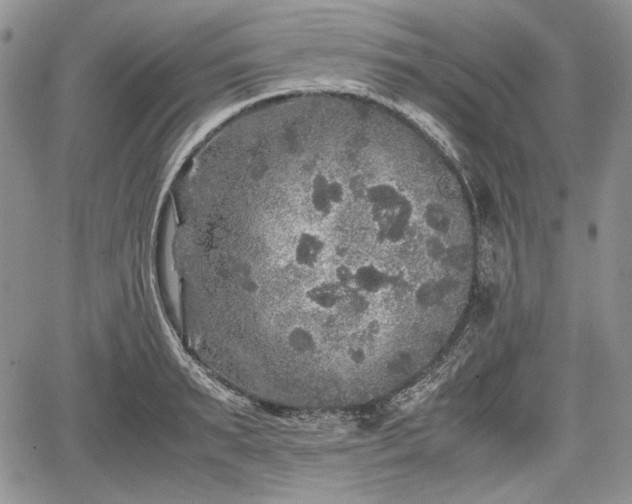 X0000067910895200604171336