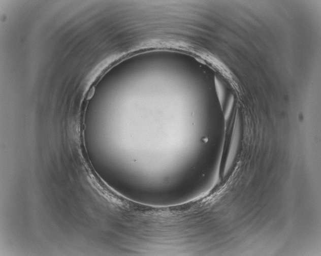 X0000067910896200604171336