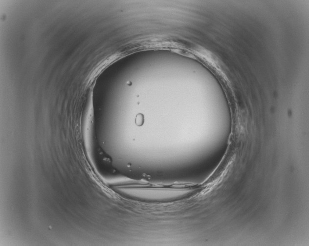 X0000067910897200604171336