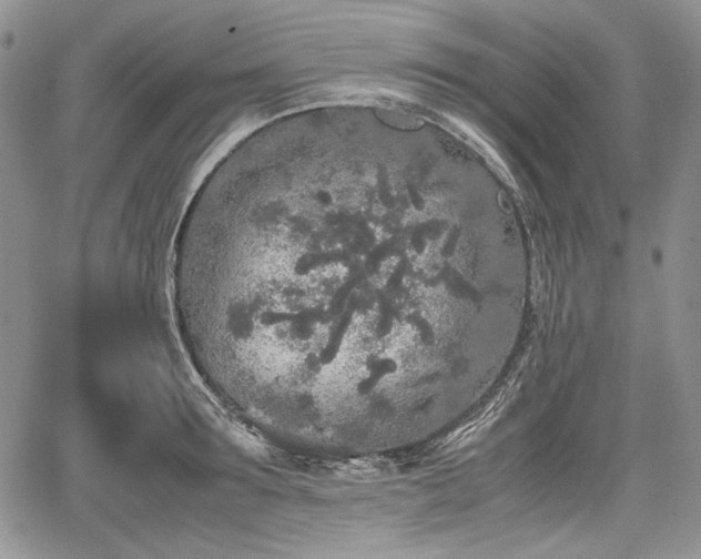 X0000067910899200604171336