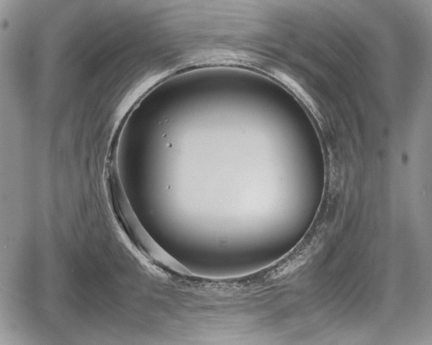 X0000067910901200604171336