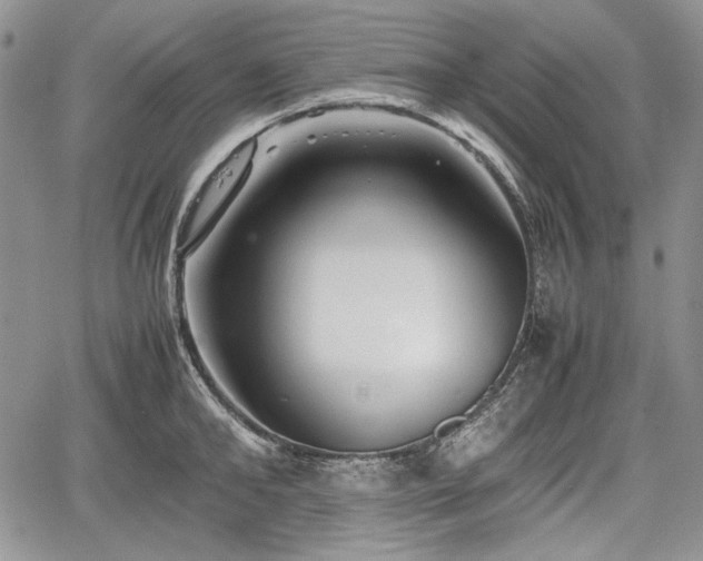 X0000067910902200604171335