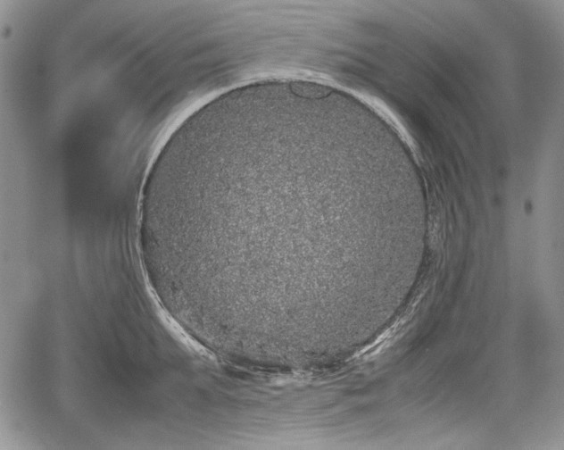 X0000067910903200604171335