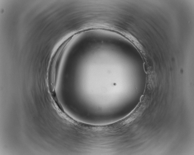 X0000067910904200604171335