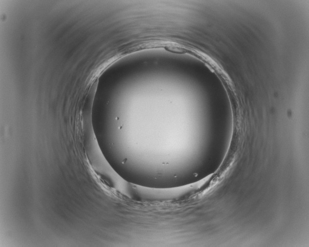 X0000067910905200604171335