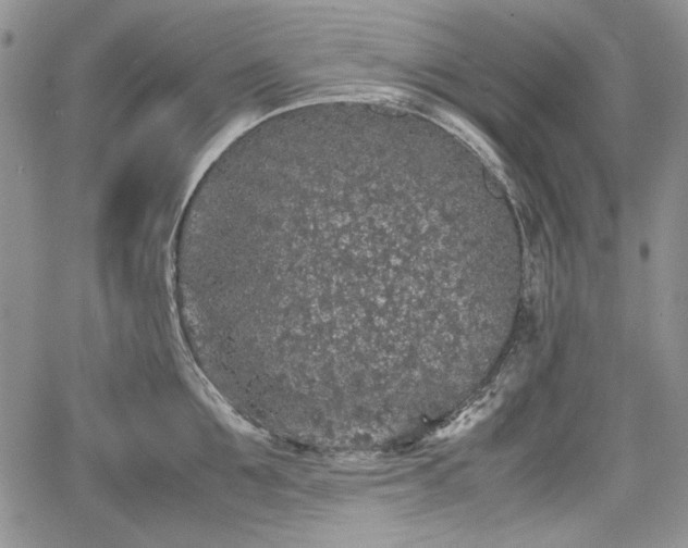 X0000067910907200604171335