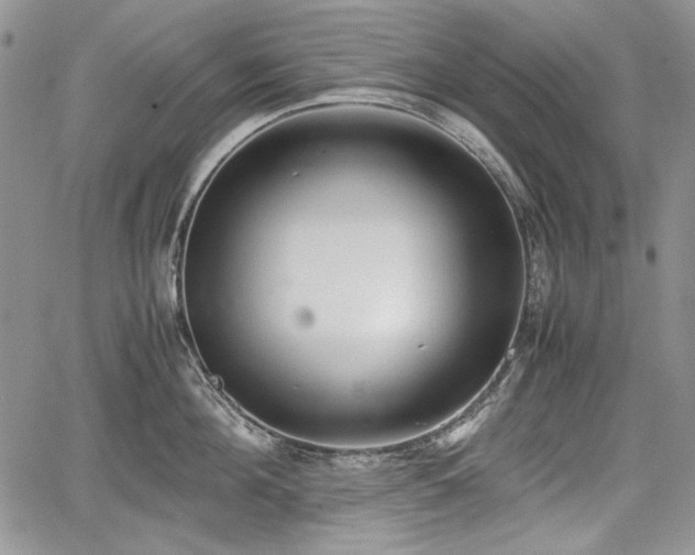 X0000067910908200604171335